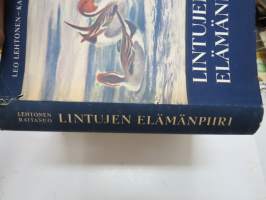 Lintujen elämänpiiri -birdlife