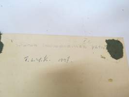TSYK 1947 -valokuva / photograph