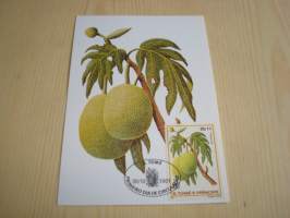 Hedelmä, maksikortti, ensipäiväkortti, Sao Tome &amp; Principe, 1981, FDC. Katso myös muut kohteeni mm. noin 1200 erilaista amerikkalaista ensipäiväkuorta
