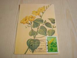 Kukkanen, maksikortti, ensipäiväkortti, Sao Tome &amp; Principe, 1979, FDC. Katso myös muut kohteeni mm. noin 1200 erilaista amerikkalaista ensipäiväkuorta