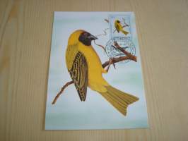 Lintu, maksikortti, ensipäiväkortti, Sao Tome &amp; Principe, 1983, FDC. Katso myös muut kohteeni mm. noin 1200 erilaista amerikkalaista ensipäiväkuorta