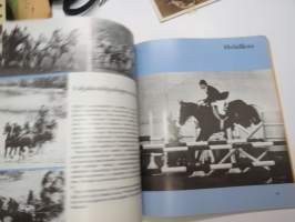 Hevoskalenteri 1974 -horse calendar