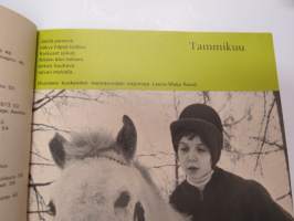 Hevoskalenteri 1975 -horse calendar