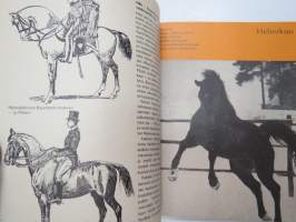 Hevoskalenteri 1975 -horse calendar