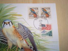 Lintu, maksikortti, ensipäiväkortti, USA, 1991, FDC. Katso myös muut kohteeni mm. noin 1200 erilaista amerikkalaista ensipäiväkuorta 1920-luvulta 2000-luvulle.