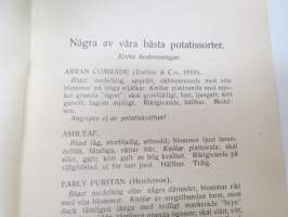 Katalog över Nylands och Tavastehus läns Lantbrukssällskaps Utställning av potatis i Helsingfors den 11 dec. 1926 -perunanäyttelyn luettelo, mainitaan