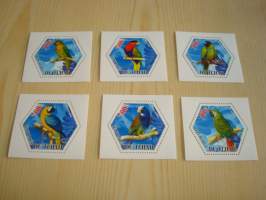 6 erilaista papukaija postimerkkiä, 6-kulmaiset, omassa arkissa, vuodelta 2014, Tchad. Katso myös muut kohteeni mm. kymmeniä erilaisia Souvenir Sheet