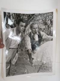 MGM - Richard Widmark, Gig Young -elokuvan mainoskuva / kaappikuva -movie advertising photo / display case photo