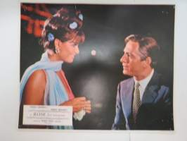 A Rose for Everyone - Columbia Pictures - Claudia Cardinale -elokuvan mainoskuva / kaappikuva / painokuva -movie advertising photo / printdisplay case photo