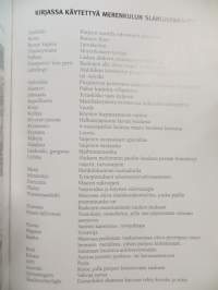 Kainuusta Uudenkaupungin satamakapteeniksi
