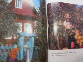 Петрозаводск - Petroskoi - Petrosavodsk 1972 -kuvateos - picture book
