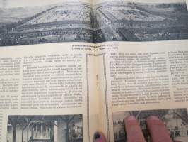 Suomen Kuvalehti 1919 nr 19, kansikuva laulajatar Dagmar Parmas, Simon taistelu, Suomen suvun yhtyminen, Inkerinmaan vaiheta, Havaintoja sotavankileireistä, ym.