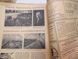 Suomen Kuvalehti 1919 nr 19, kansikuva laulajatar Dagmar Parmas, Simon taistelu, Suomen suvun yhtyminen, Inkerinmaan vaiheta, Havaintoja sotavankileireistä, ym.