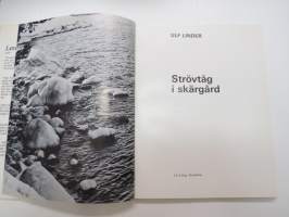 Strötåg i skärgård (saaristo)