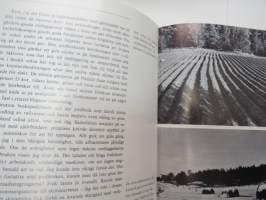 Strötåg i skärgård (saaristo)