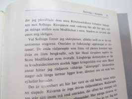 Strötåg i skärgård (saaristo)