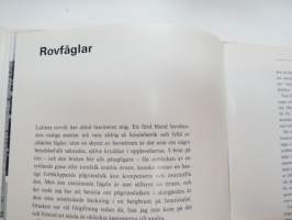 Strötåg i skärgård (saaristo)