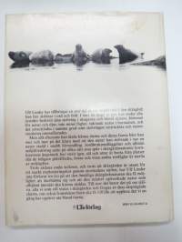 Strötåg i skärgård (saaristo)
