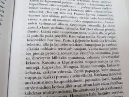 Terroriteko -novel