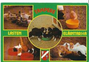 Tampere, Lasten eläintarha Särkänniemi  - paikkakuntapostikortti postikortti kulkematon