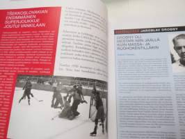 Jääkiekon maailma 2013 IIHF
