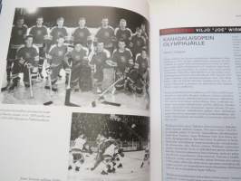 Jääkiekon maailma 2013 IIHF