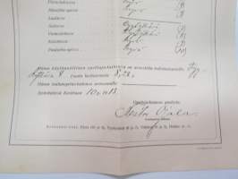 Päästö-kirja Jyväskylän opettaja- ja opettajatar-seminaarista - Elvira Dagmar Suominen, 10.6.1910, allekirjoitus Nestor Ojala -school certificate