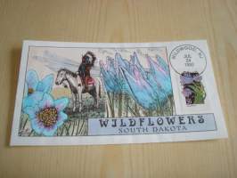 South Dakota, Wildflowers, Intiaani,1992, USA, ensipäiväkuori, FDC, käsinmaalattu ja signeerattu kuori, hieno. Katso myös muut kohteeni mm. noin 1200 erilaista