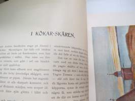 Vox III - Vårpublikation af tidningsmän 1904, innehåller bla följande artikel / bilder; Ett minne (av J.A. Lyly),Två monumentala byggnader i Åbo