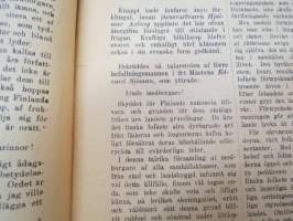 Medborgarmötet i Åbo - Söndagen den 26 Mars 1905 - De konstitutioneltsinnades stora möte i Åbo -political history