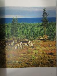 Finlandia - Profile of a Country