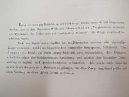 Anatomie der Zunge -eri eliölajien kielten tutkimusta, 52 kuvataulua