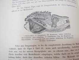 Anatomie der Zunge -eri eliölajien kielten tutkimusta, 52 kuvataulua
