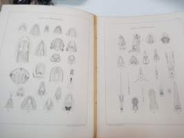 Anatomie der Zunge -eri eliölajien kielten tutkimusta, 52 kuvataulua