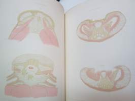 Anatomie der Zunge -eri eliölajien kielten tutkimusta, 52 kuvataulua