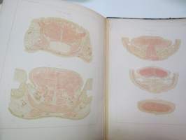 Anatomie der Zunge -eri eliölajien kielten tutkimusta, 52 kuvataulua