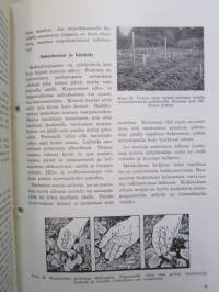 Pieni marjanviljelyn opas