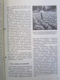 Pieni marjanviljelyn opas