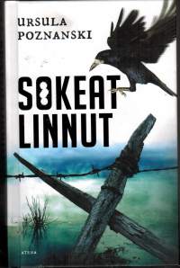 Sokeat linnut