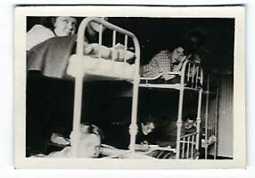Tervasaaressa 1952  valokuva yht 5 kpl