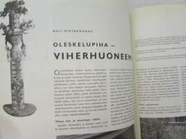 Kaunis Koti 1965 nr 3, sis. mm. seur. artikkelit / kuvat / mainokset; Kansikuva; Akseli Gallen-Kallelan valmistama ateljeepöytä valokuvannut Ä. Fethulla, Viljo