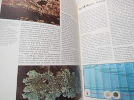 The Encyclopedia of Mushrooms