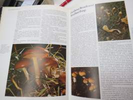 The Encyclopedia of Mushrooms