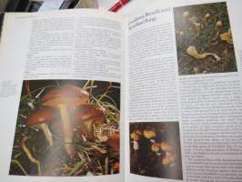 The Encyclopedia of Mushrooms