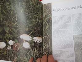 The Encyclopedia of Mushrooms