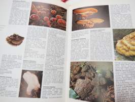 The Encyclopedia of Mushrooms