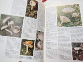 The Encyclopedia of Mushrooms