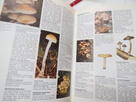 The Encyclopedia of Mushrooms