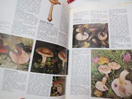 The Encyclopedia of Mushrooms