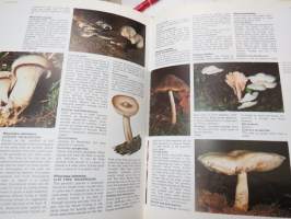 The Encyclopedia of Mushrooms